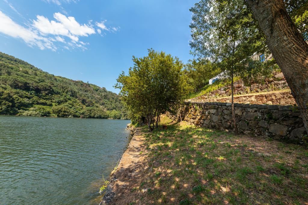 Douro Green Castelo de Paiva Esterno foto